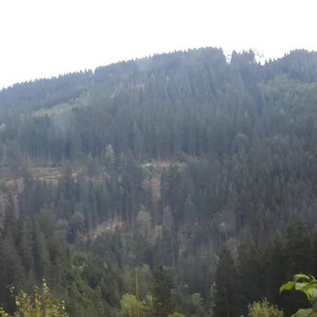 Charmantes Refugium, Harz Appartamento *