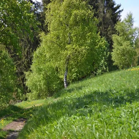 Charmantes Refugium, Harz Wildemann