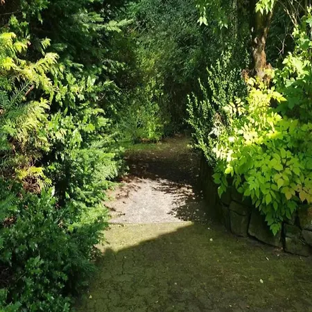 Charmantes Refugium, Harz Appartamento