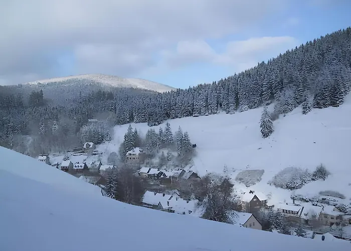 Appartement Charmantes Refugium, Harz Wildemann