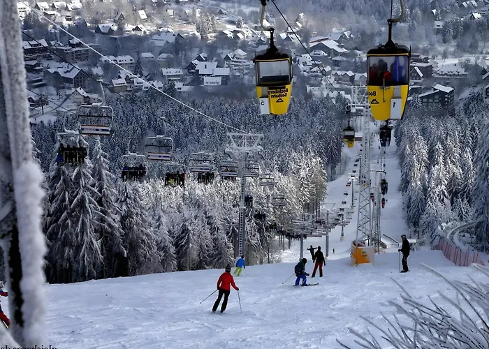 Appartement Charmantes Refugium, Harz Wildemann