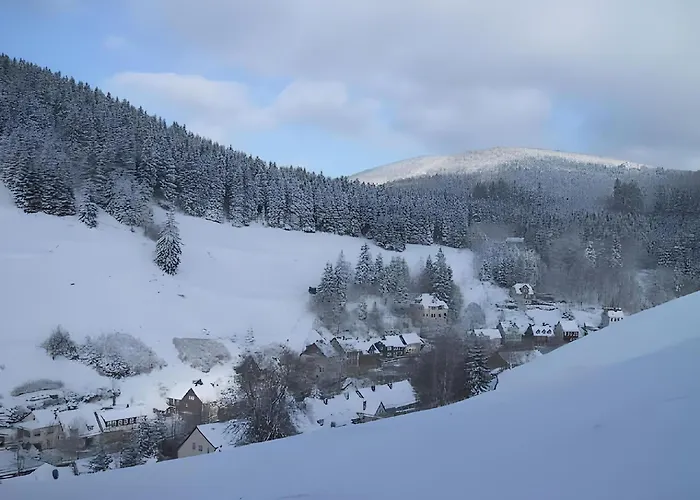 Charmantes Refugium, Harz Appartement *