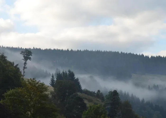 Appartement Charmantes Refugium, Harz