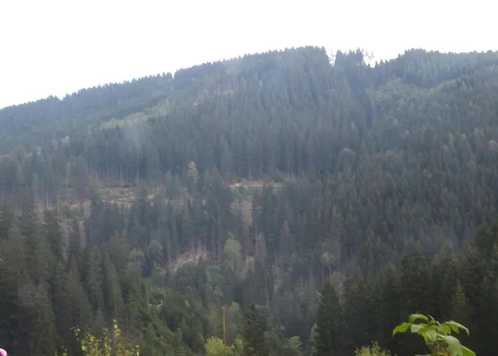 Charmantes Refugium, Harz Appartement *