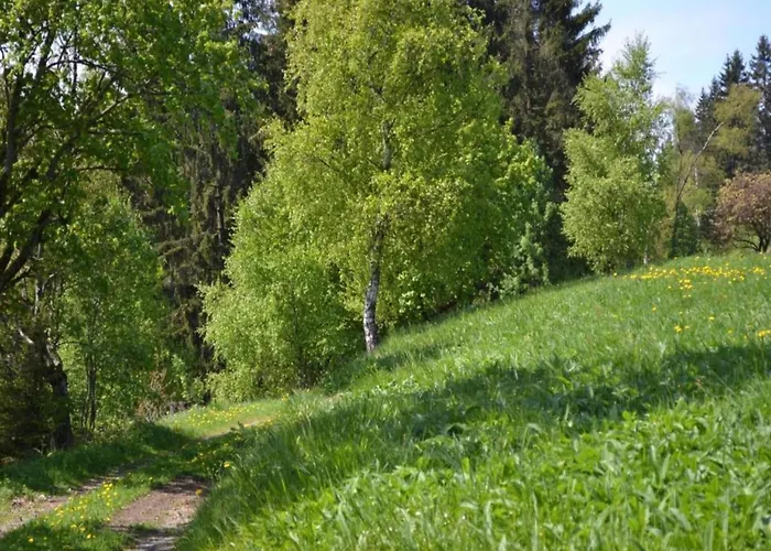 Charmantes Refugium, Harz Wildemann