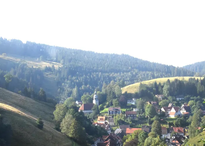 Appartement Charmantes Refugium, Harz *