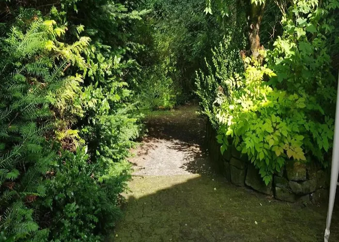 Charmantes Refugium, Harz Appartement